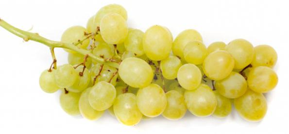 tipo de uvas 