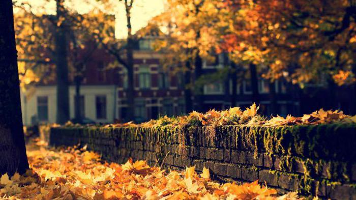 Mini-composición: 5 oraciones sobre el otoño